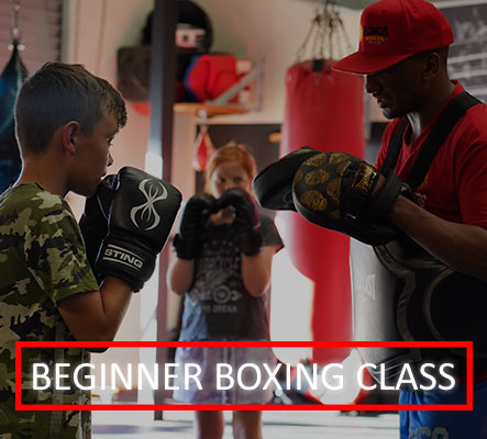 Beginner Boxing