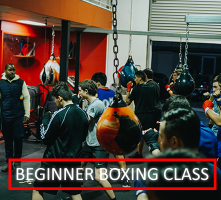Beginner Boxing Perth